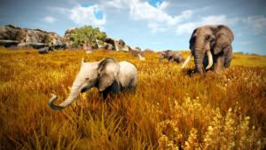 Patch Alpha v2.4